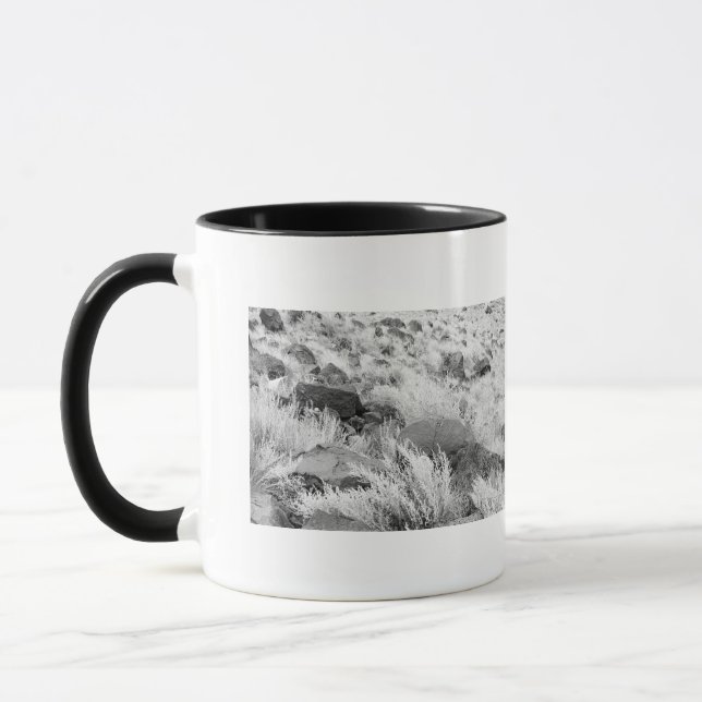 Basalt Lava Rocks in Desert, Black and White Photo Mug (Left)