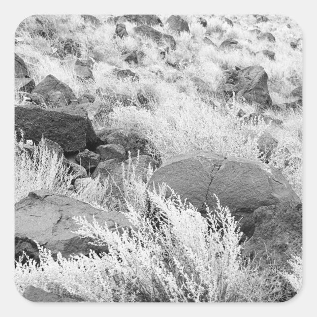 Basalt Lava Rocks Southwest Black and White Photo Square Sticker (Front)