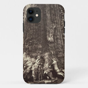 Base of the Grizzly Giant, from 'The Yosemite Book Case-Mate iPhone Case