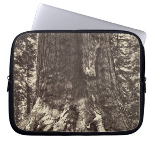Base of the Grizzly Giant, from 'The Yosemite Book Laptop Sleeve