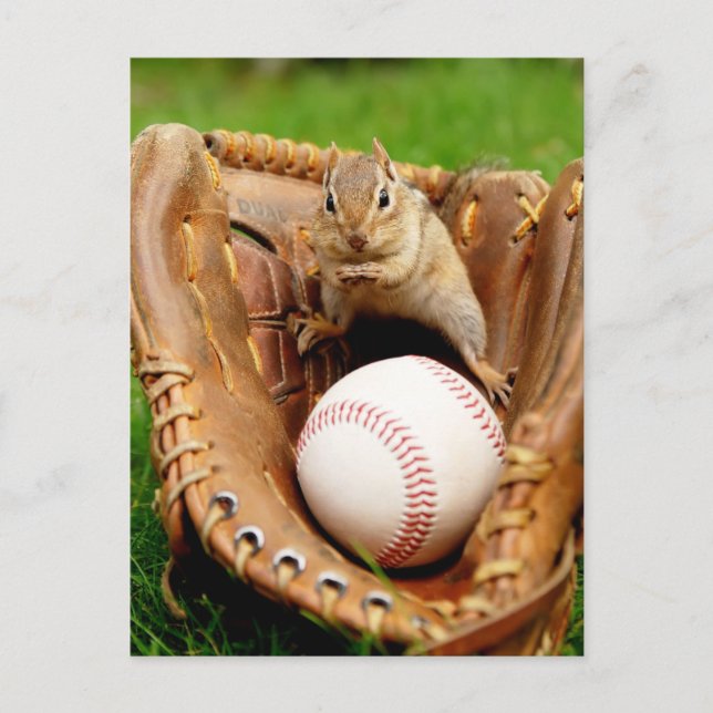 Baseball Fan Chipmunk Postcard (Front)
