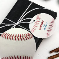 Baseball Red Blue
