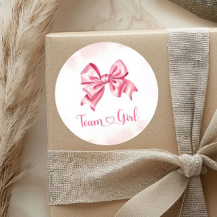 Baseballs or Bows Gender Reveal Team Girl Sticker