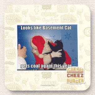 Basement Cat gets coal Coaster