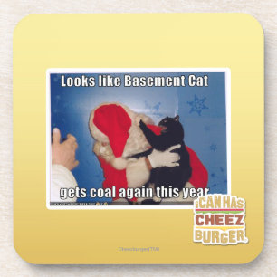 Basement Cat gets coal Coaster
