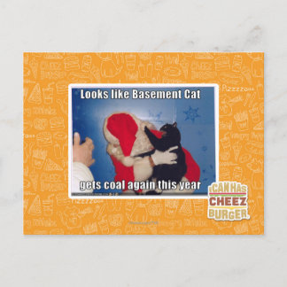 Basement Cat gets coal Postcard