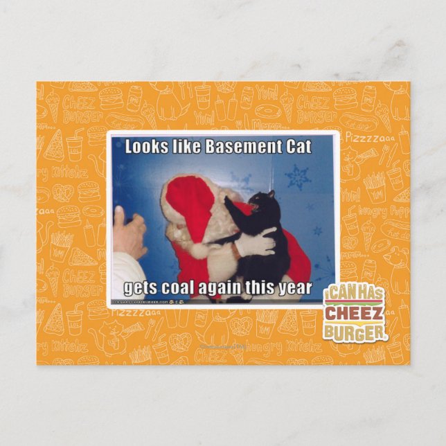 Basement Cat gets coal Postcard (Front)