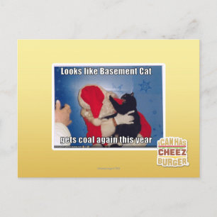 Basement Cat gets coal Postcard