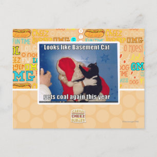 Basement Cat gets coal Postcard
