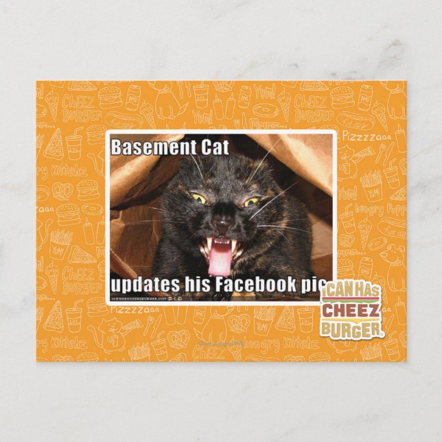 Basement Cat Postcard (Front)