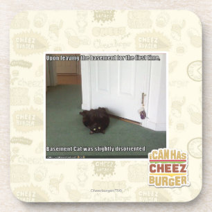 Basement Cat, slightly disoriented Coaster