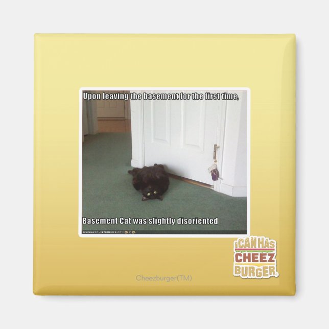 Basement Cat, slightly disoriented Magnet (Front)