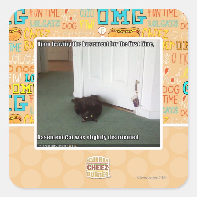 Basement Cat, slightly disoriented Square Sticker (Front)