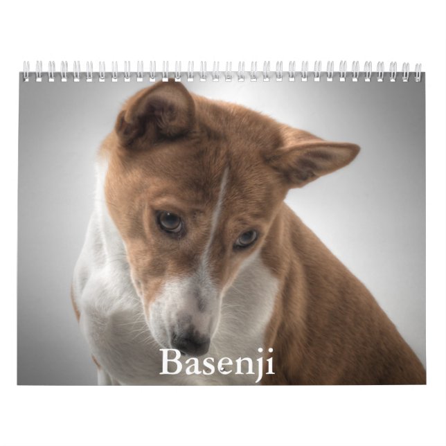 Basenji Calendar (Cover)