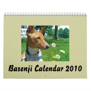 Basenji Calendar 2010