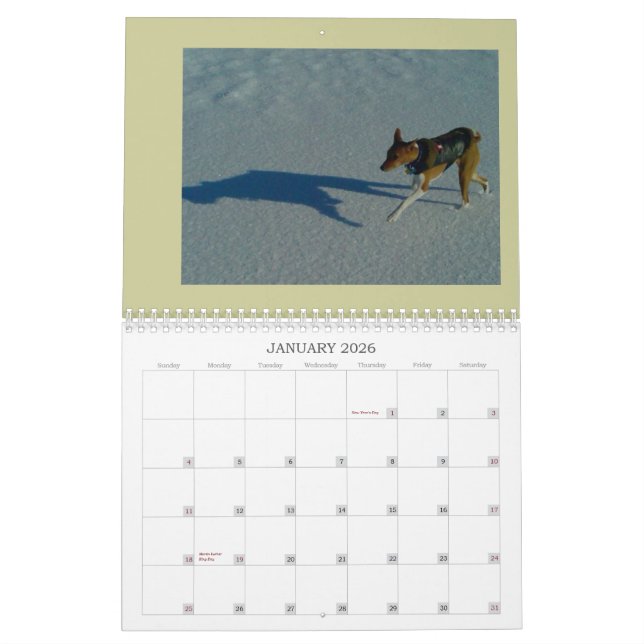 Basenji Calendar 2010 (Jan 2026)