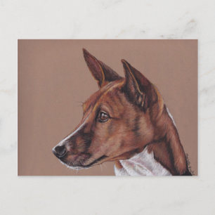 Basenji Coloured Pencil Art Postcard