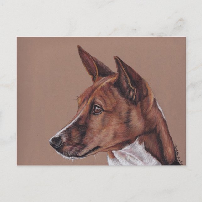 Basenji Coloured Pencil Art  Postcard (Front)