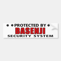 Basenji Dog Security