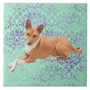 Basenji Dog  Tile