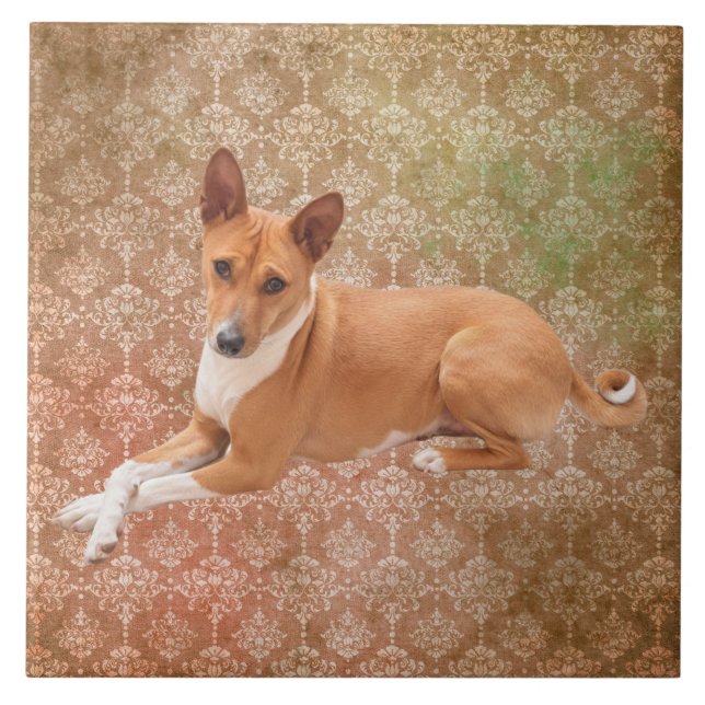 Basenji Dog  Tile (Front)