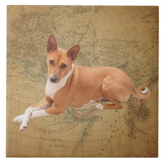 Basenji Dog Tile