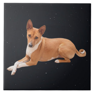 Basenji Dog Tile