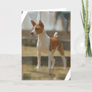 Basenji Greeting Card