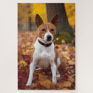Basenji in Autumn Leaves Fall Inspire Jigsaw Puzzle