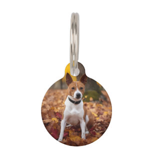 Basenji in Autumn Leaves Fall Inspire Pet Tag