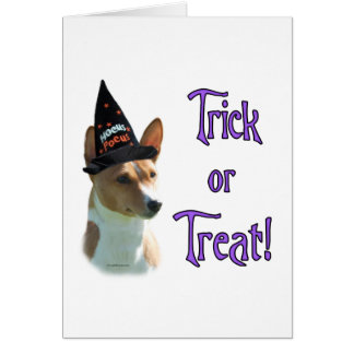 Basenji Trick