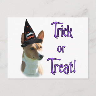 Basenji Trick Postcard