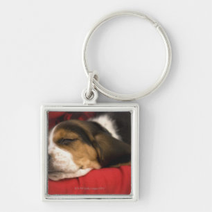 Bashaw, Alberta, Canada Key Ring