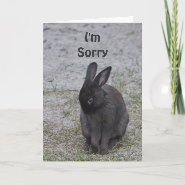 Bashful Bunny Rabbit Card (Front)