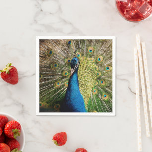 Bashful Peacock  Napkin