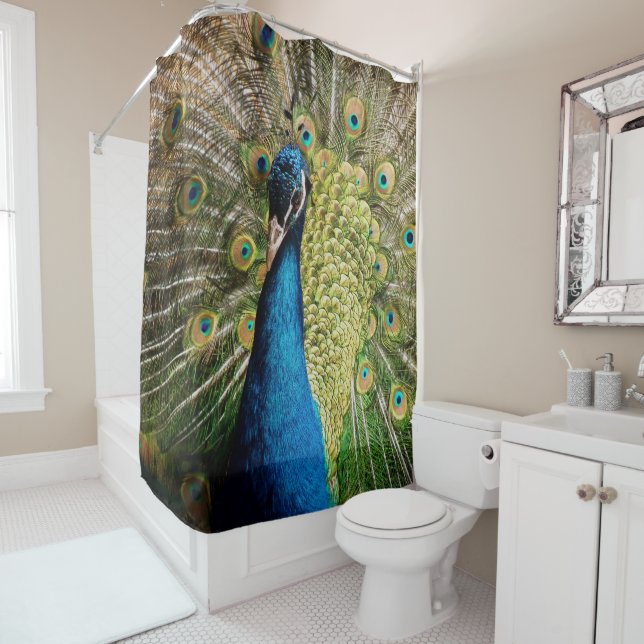 Bashful Peacock  Shower Curtain (In Situ)