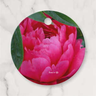 Bashful Pink Peony Favour Tags
