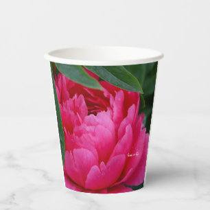 Bashful Pink Peony Paper Cups