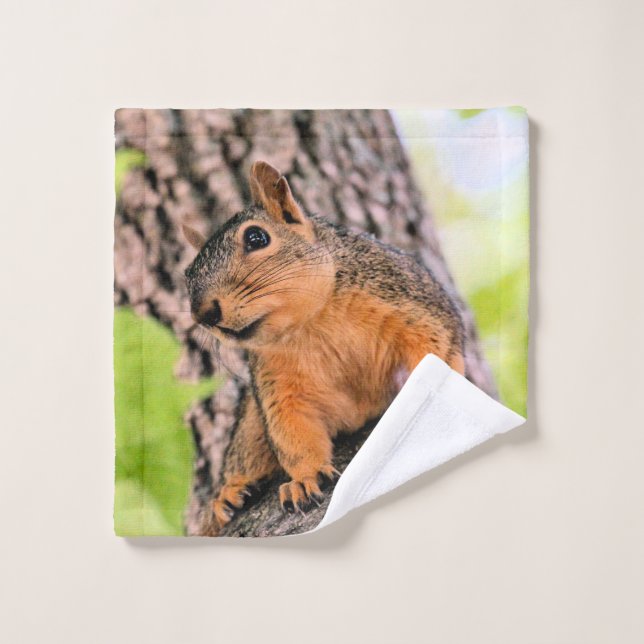 Bashful Wash Cloth (Wash Cloth)