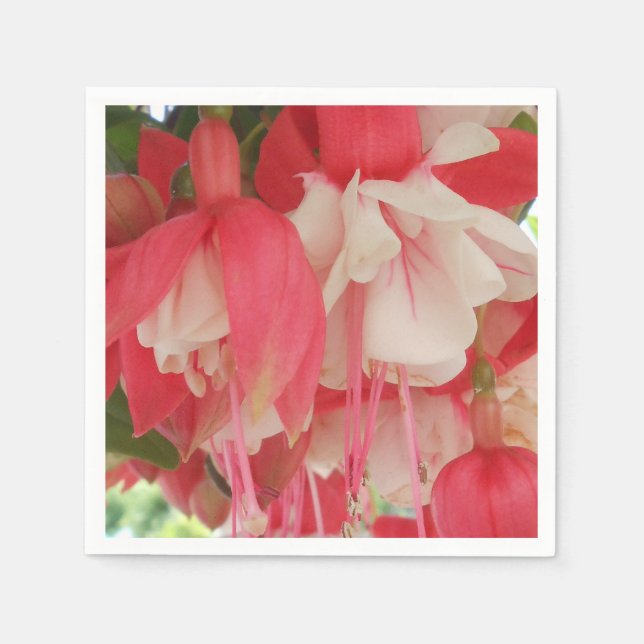 Bashkirtseff Napkin (Front)