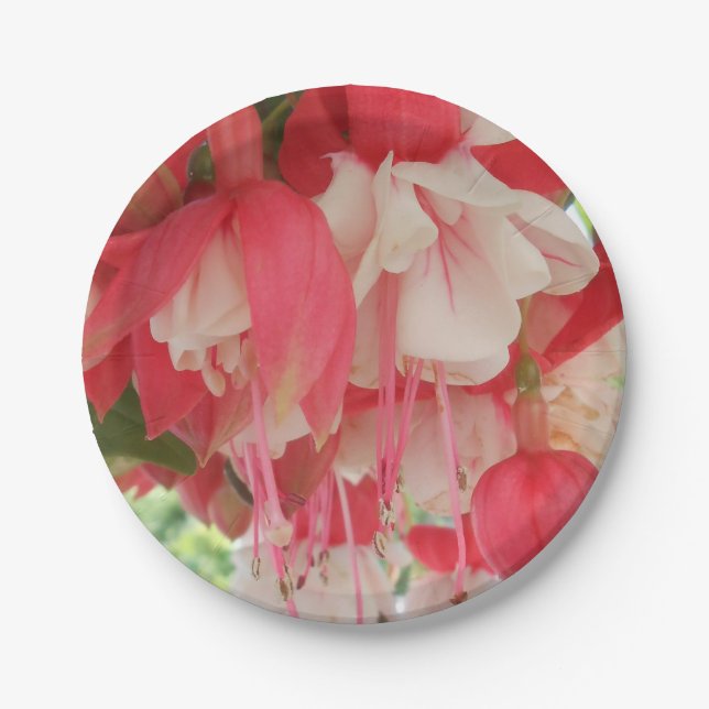 Bashkirtseff Paper Plate (Front)