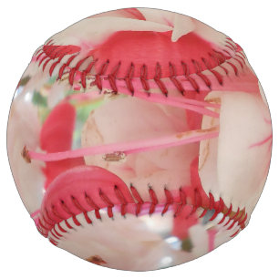 Bashkirtseff Softball
