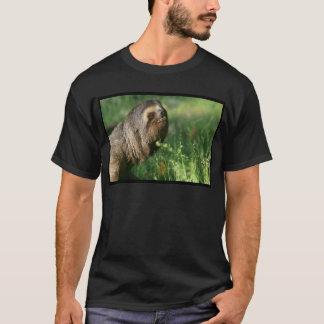 Basic Dark T-Shirt Template - Customised