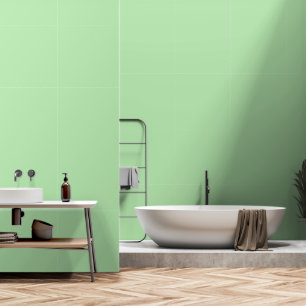 Basic Pastel Pale Green Solid Simple Colourful Wallpaper