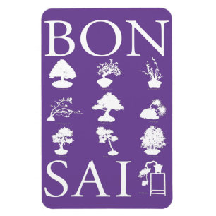 Basic Styles of Bonsai Tree Magnet