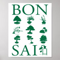 Basic Styles of Bonsai Tree