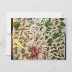 Basil and Peppers Postcard