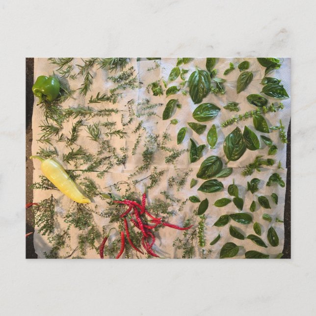 Basil and Peppers Postcard (Front)