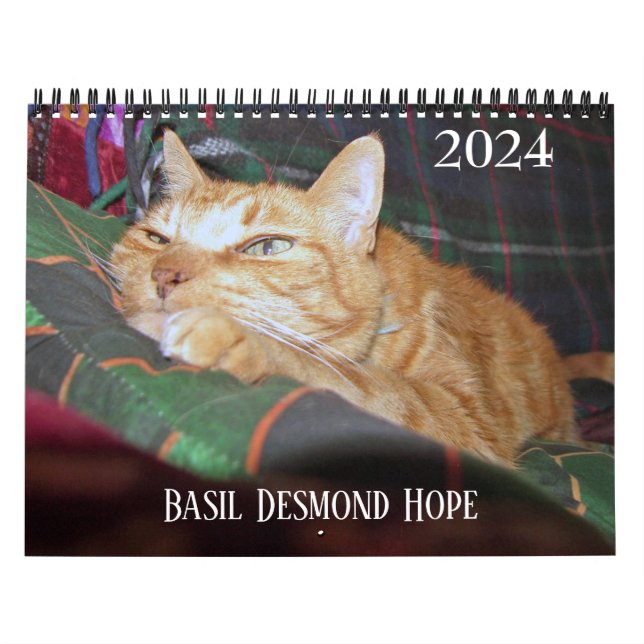 Basil Ginger Cat Personalised Calendar 2024 (Cover)