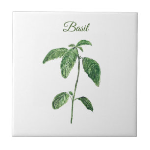 Basil Herb Greenery Kitchen Culinary Green Rustic Tile